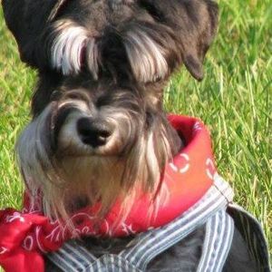 Meet your Posher, Diane